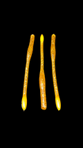 6" Tricky Ricky Finesse Worm – UV Glow Tips