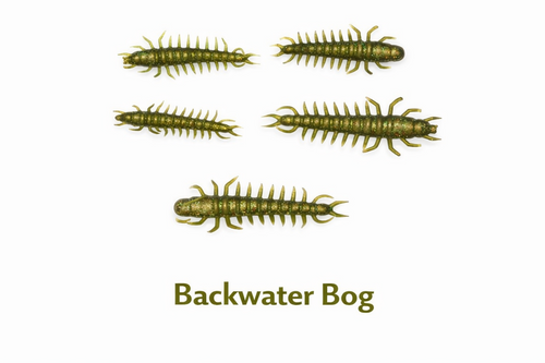 20pc. HELLGRAMMITES - 1.5"