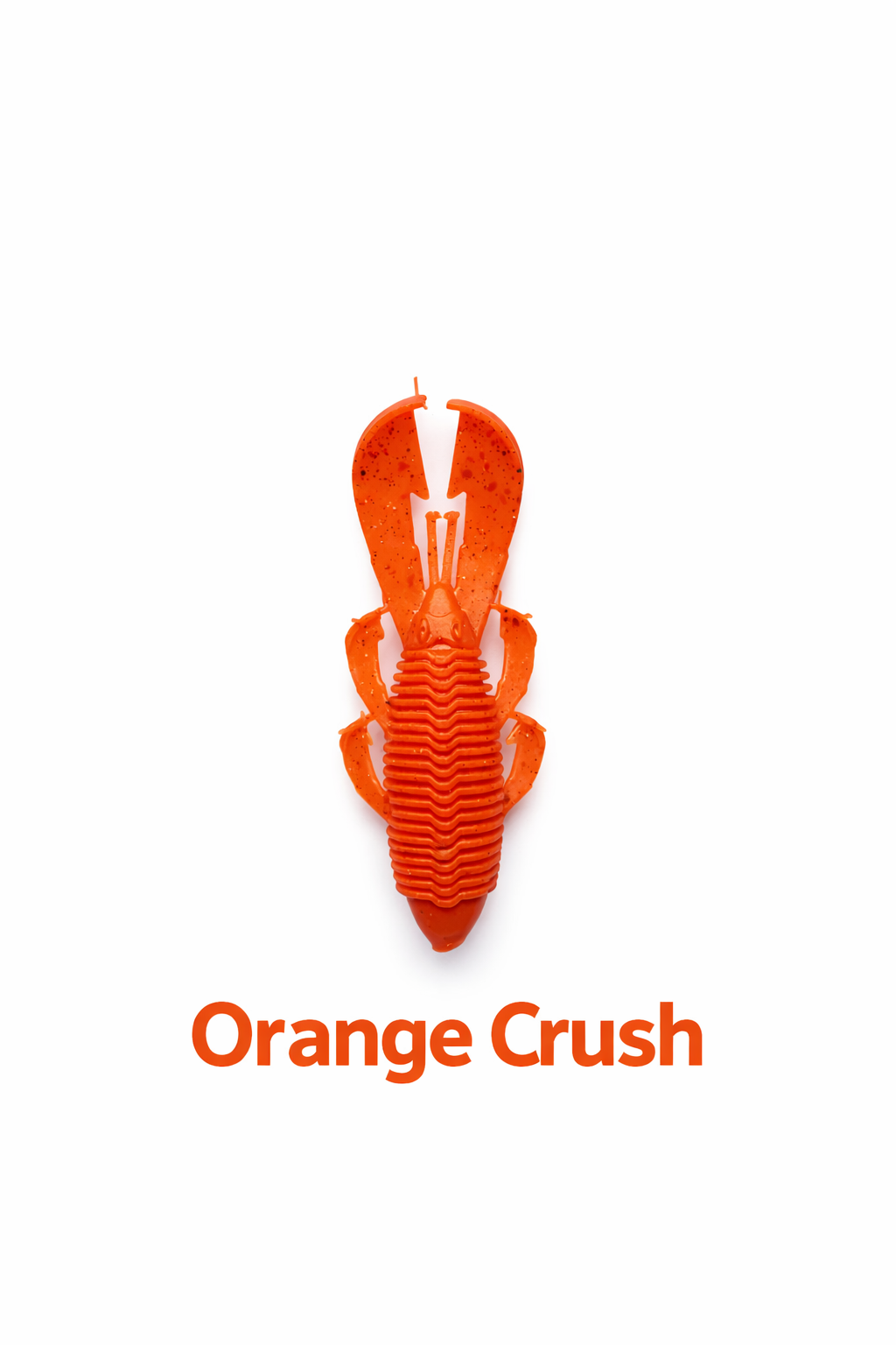 4pc. Outlaw Bug - 4"