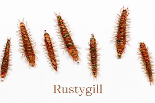 20pc. HELLGRAMMITES - 1.5"