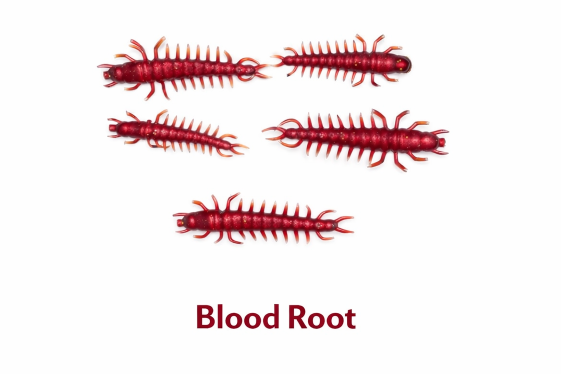 20pc. HELLGRAMMITES - 1.5"